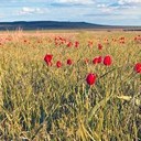 Тамбов - Волгоград - Элиста - Астрахань - Махачкала - Грозный - Пятигорск - Ростов-на-Дону - Воронеж