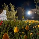 Тамбов - Волгоград - Элиста - Астрахань - Махачкала - Грозный - Пятигорск - Ростов-на-Дону - Воронеж