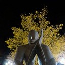 Тамбов - Волгоград - Элиста - Астрахань - Махачкала - Грозный - Пятигорск - Ростов-на-Дону - Воронеж