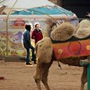 Тамбов - Волгоград - Элиста - Астрахань - Махачкала - Грозный - Пятигорск - Ростов-на-Дону - Воронеж
