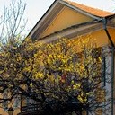 Тамбов - Волгоград - Элиста - Астрахань - Махачкала - Грозный - Пятигорск - Ростов-на-Дону - Воронеж