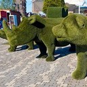 Тамбов - Волгоград - Элиста - Астрахань - Махачкала - Грозный - Пятигорск - Ростов-на-Дону - Воронеж