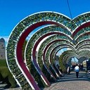 Тамбов - Волгоград - Элиста - Астрахань - Махачкала - Грозный - Пятигорск - Ростов-на-Дону - Воронеж