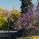 Тамбов - Волгоград - Элиста - Астрахань - Махачкала - Грозный - Пятигорск - Ростов-на-Дону - Воронеж