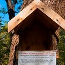 Тамбов - Волгоград - Элиста - Астрахань - Махачкала - Грозный - Пятигорск - Ростов-на-Дону - Воронеж