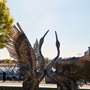 Тамбов - Волгоград - Элиста - Астрахань - Махачкала - Грозный - Пятигорск - Ростов-на-Дону - Воронеж