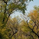 Тамбов - Волгоград - Элиста - Астрахань - Махачкала - Грозный - Пятигорск - Ростов-на-Дону - Воронеж