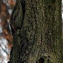 Бронницы - Щурово - Рязань - Рыбацкая деревня - Старожилово - Кирицы
