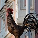 Бронницы - Щурово - Рязань - Рыбацкая деревня - Старожилово - Кирицы