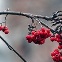 Бронницы - Щурово - Рязань - Рыбацкая деревня - Старожилово - Кирицы