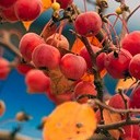 Бронницы - Щурово - Рязань - Рыбацкая деревня - Старожилово - Кирицы