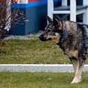 Бронницы - Щурово - Рязань - Рыбацкая деревня - Старожилово - Кирицы