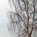 Бронницы - Щурово - Рязань - Рыбацкая деревня - Старожилово - Кирицы