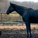 Бронницы - Щурово - Рязань - Рыбацкая деревня - Старожилово - Кирицы