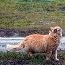 Бронницы - Щурово - Рязань - Рыбацкая деревня - Старожилово - Кирицы