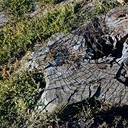 Борисоглебск - Волгоград - Элиста - Пятигорск - Кисловодск - Ессентуки - Нальчик