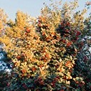Борисоглебск - Волгоград - Элиста - Пятигорск - Кисловодск - Ессентуки - Нальчик