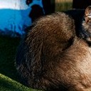Борисоглебск - Волгоград - Элиста - Пятигорск - Кисловодск - Ессентуки - Нальчик