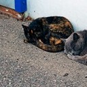 Борисоглебск - Волгоград - Элиста - Пятигорск - Кисловодск - Ессентуки - Нальчик