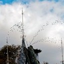 Борисоглебск - Волгоград - Элиста - Пятигорск - Кисловодск - Ессентуки - Нальчик