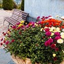 Борисоглебск - Волгоград - Элиста - Пятигорск - Кисловодск - Ессентуки - Нальчик