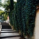 Борисоглебск - Волгоград - Элиста - Пятигорск - Кисловодск - Ессентуки - Нальчик