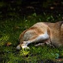 Борисоглебск - Волгоград - Элиста - Пятигорск - Кисловодск - Ессентуки - Нальчик