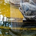 Борисоглебск - Волгоград - Элиста - Пятигорск - Кисловодск - Ессентуки - Нальчик