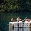 Борисоглебск - Волгоград - Элиста - Пятигорск - Кисловодск - Ессентуки - Нальчик