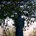 Борисоглебск - Волгоград - Элиста - Пятигорск - Кисловодск - Ессентуки - Нальчик