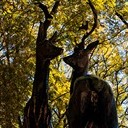 Борисоглебск - Волгоград - Элиста - Пятигорск - Кисловодск - Ессентуки - Нальчик