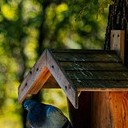 Борисоглебск - Волгоград - Элиста - Пятигорск - Кисловодск - Ессентуки - Нальчик