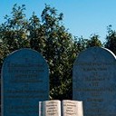 Борисоглебск - Волгоград - Элиста - Пятигорск - Кисловодск - Ессентуки - Нальчик